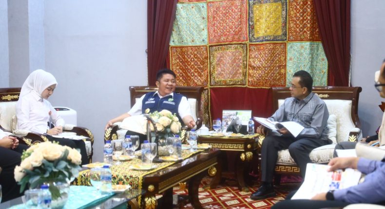 foto slider headline