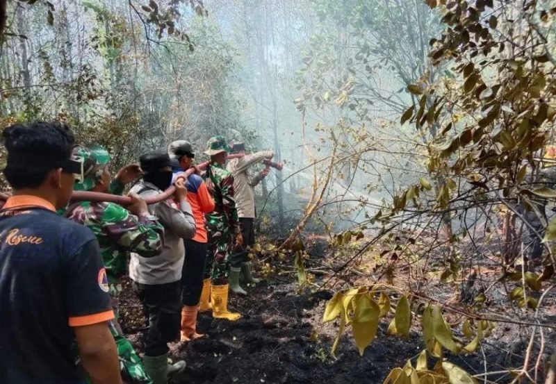 Satgas Karhutla Kabupaten PALI Berupaya Memadamkan Api.