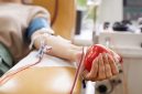 Close-up of patient with tubes in her arm squeezing the ball in her hand while donating the blood